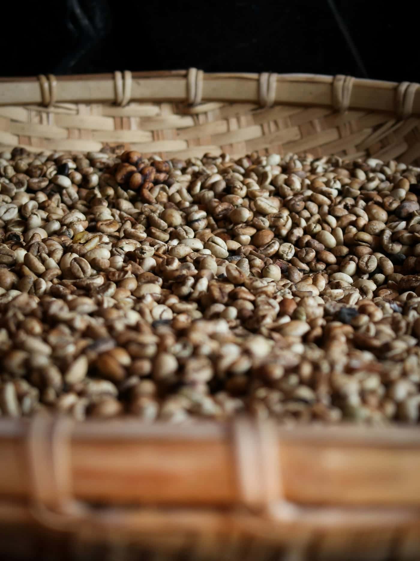 Biji kopi di dalam tampah anyaman bambu