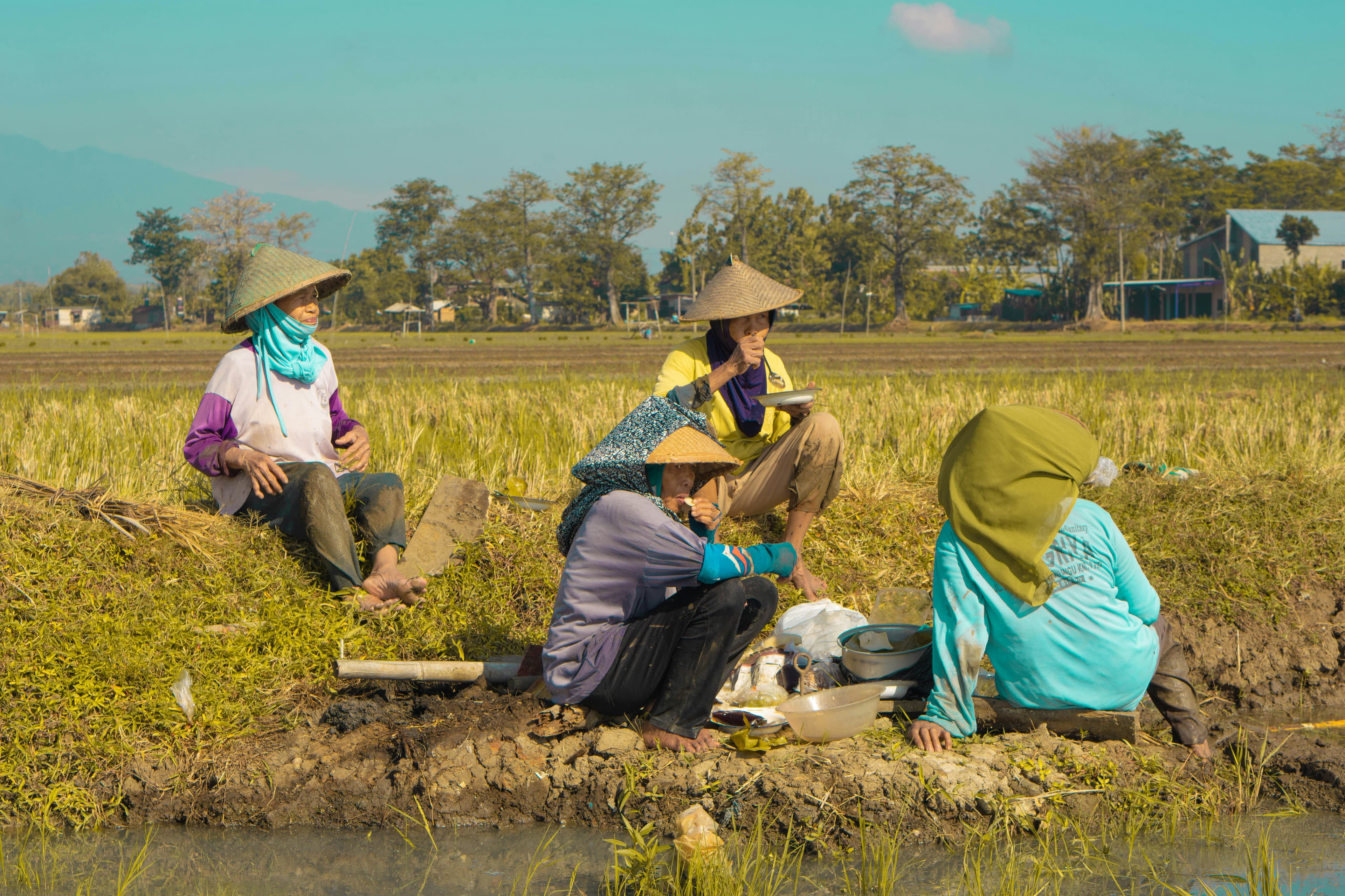 ARM untuk Petani Indonesia