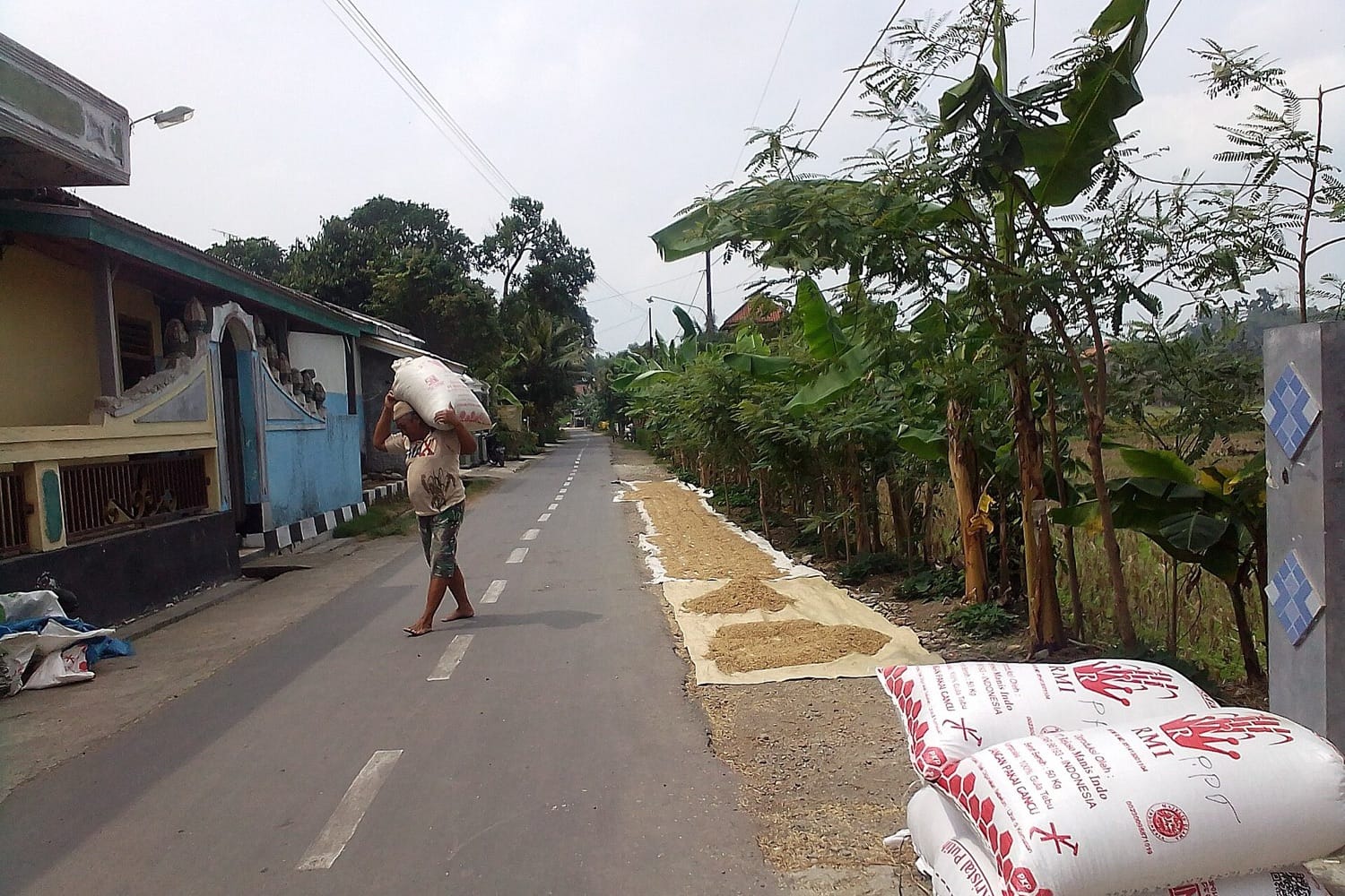 Seorang warga memanggul karung di jalan desa, sementara gabah dijemur di atas alas di tepi jalan
