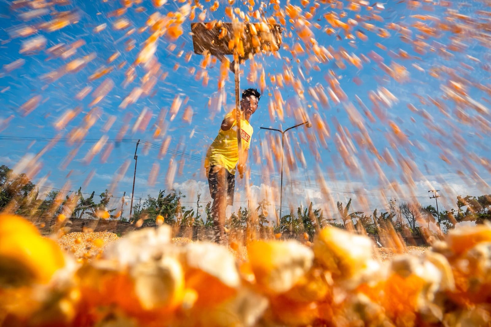 Petani menebar jagung pipil untuk dijemur di bawah terik matahari