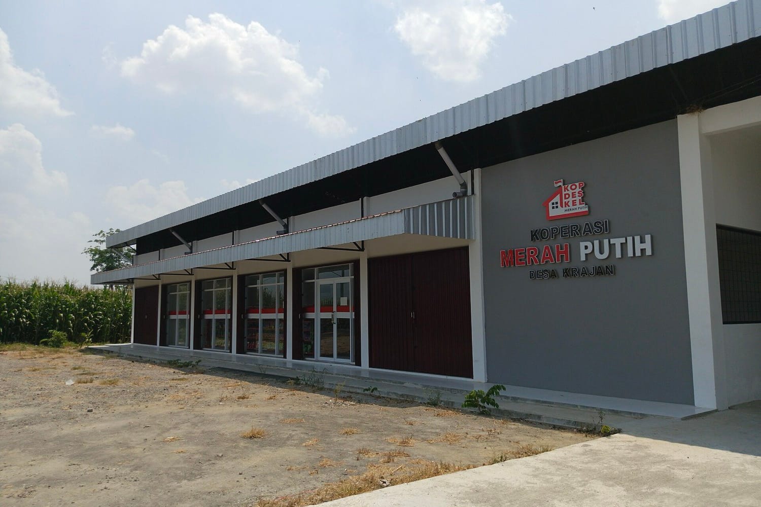 Gedung Koperasi Desa Merah Putih di Kalikotes, Klaten, berdinding abu-abu dengan papan nama di depan ladang jagung