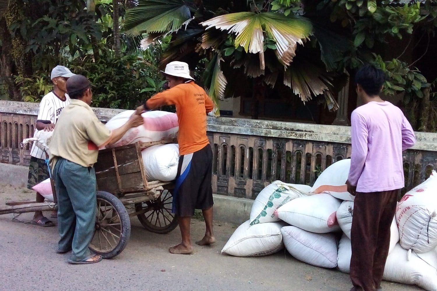 Warga menaikkan karung gabah ke atas gerobak kayu di tepi jalan desa