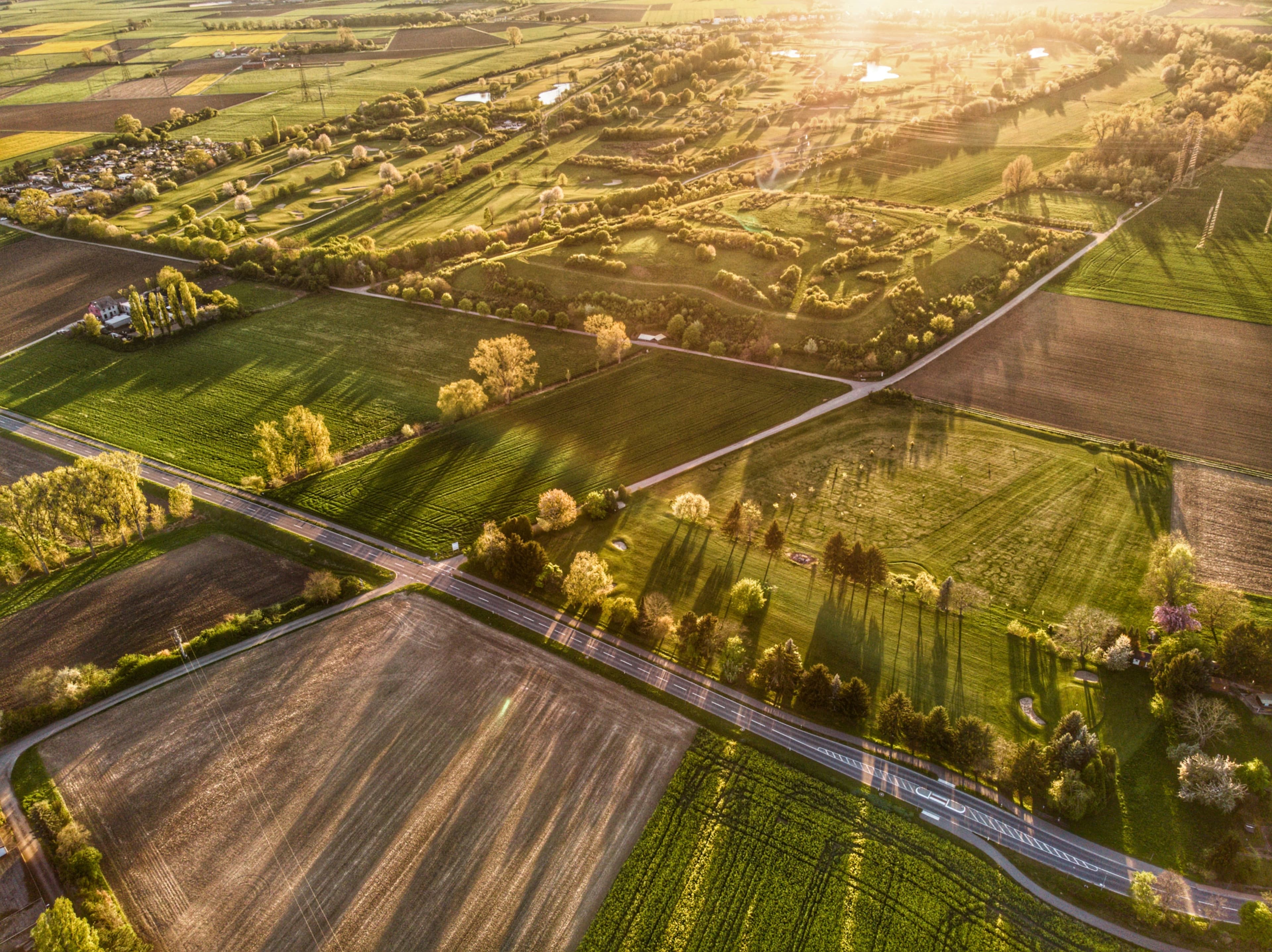 Riset Agribisnis ARM